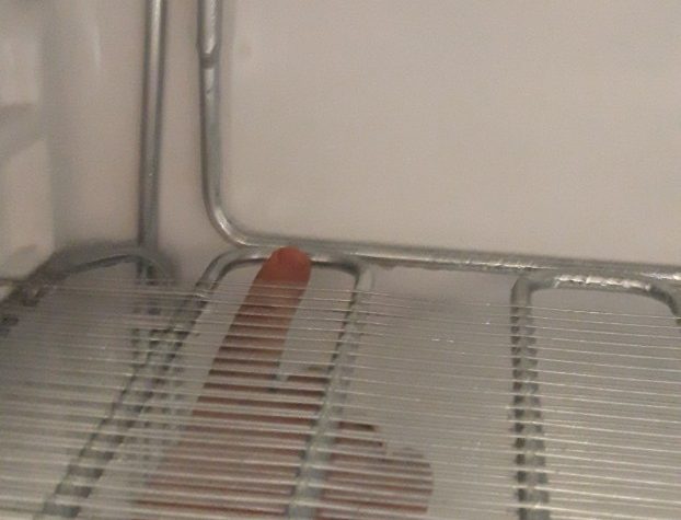 Ардо повреждение испарителя