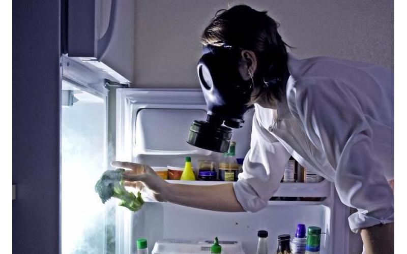 запах в холодильнике